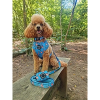 Rosie Rose Cornflower Blue Floral Poo Bag Holder