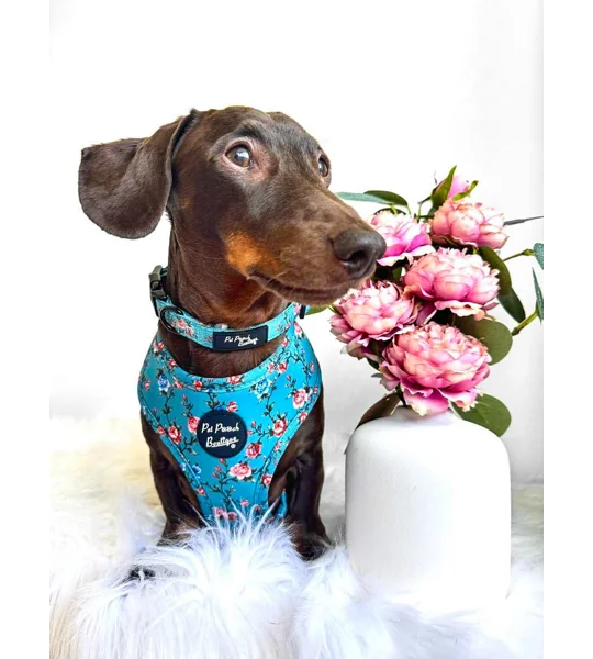 Rosie Rose Cornflower Blue Floral Dog Harness