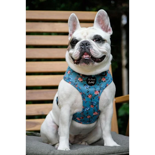 Rosie Rose Cornflower Blue Floral Dog Harness
