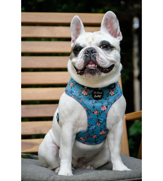 Rosie Rose Cornflower Blue Floral Dog Harness