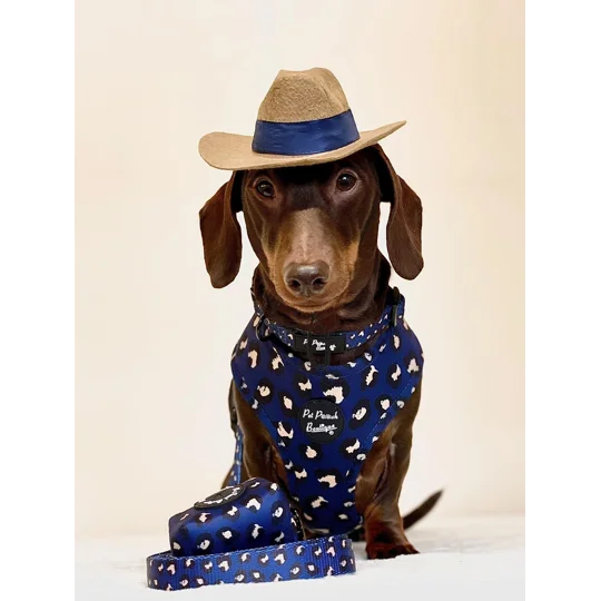 Royal Blue Leopard Dog Collar