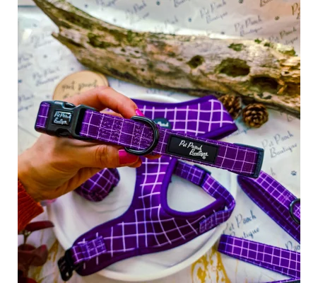 Royal Purple Patch Dog Collar