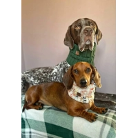 Rum Rustique Roll Top Dog Snood