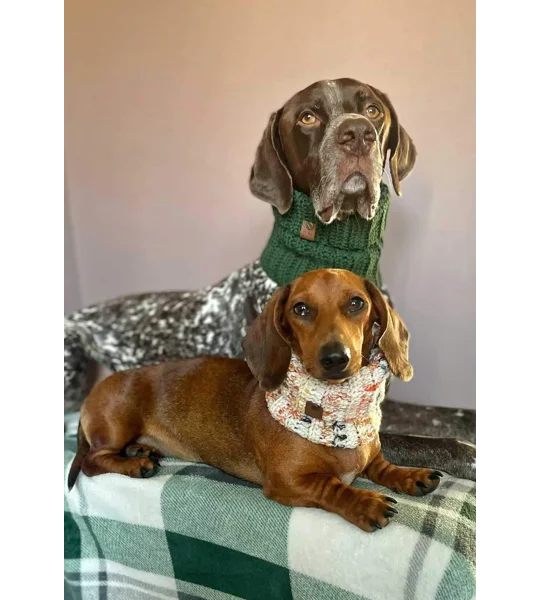 Rum Rustique Roll Top Dog Snood
