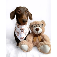 Rusty Bear Dog Bandana