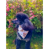 Rusty Bear Dog Bandana