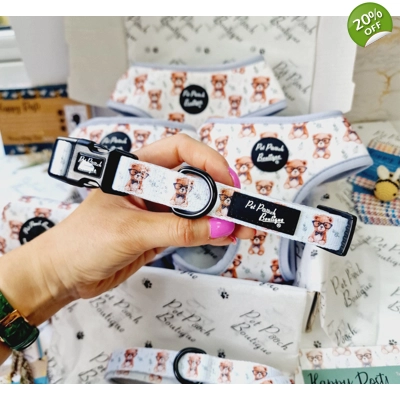 Rusty Bear Dog Collar