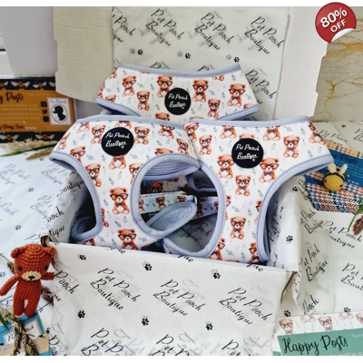 Rusty Bear Dog Harness