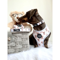 Rusty Bear Poo Bag Holder