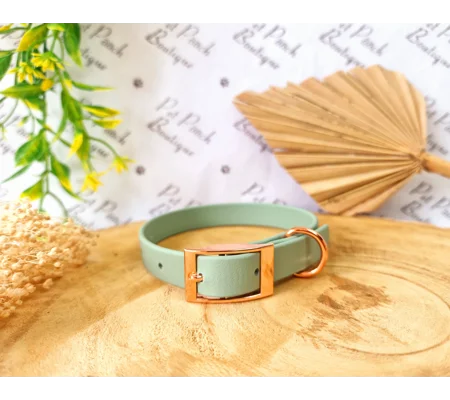 Sage Green Biothane Dog Collar - Optional Fittings