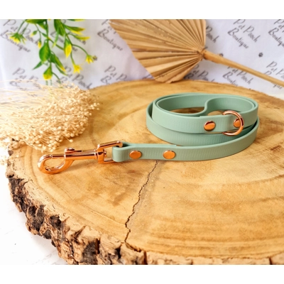 Sage Green Biothane Dog Lead Sage Green Biothane Dog Lead