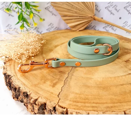 Sage Green Biothane Dog Lead