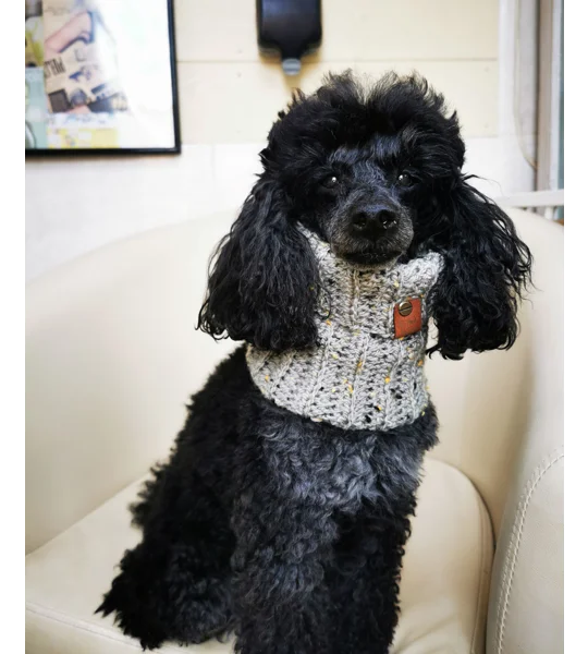 Sage Green Roll Top Dog Snood