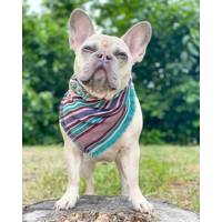 Frayed Sand Dune Bandana - Scamps