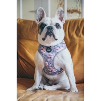 Secret Garden Floral Dog Harness  - optional flower accessory