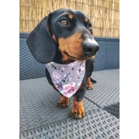 Secret Garden Floral Bandana
