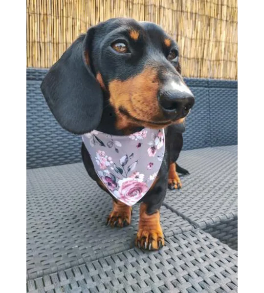 Secret Garden Floral Bandana