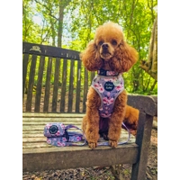 Secret Garden Floral Dog Harness  - optional flower accessory