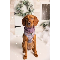 Lilac Roll Top Dog Snood