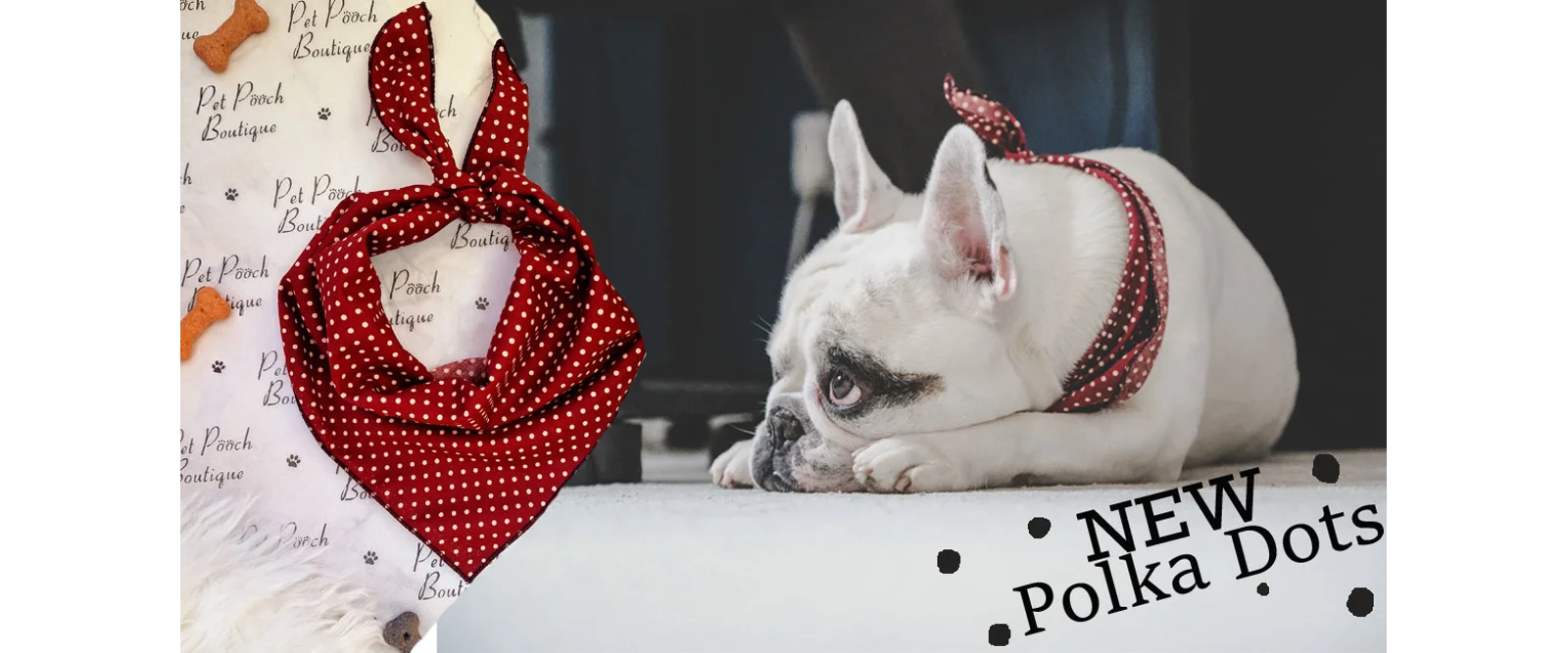 NEW Polka Dots - a French bulldog in a red polka dot bandana