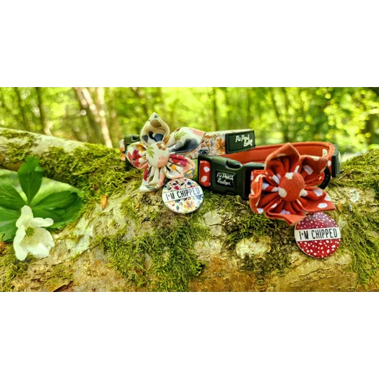 Poppy Toadstool Polkas Dog Collar - OPTIONAL Bow Tie/Flower ACCESSORY