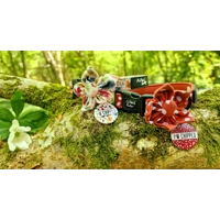 Poppy Toadstool Polkas Custom ID Dog Tag - NEW STYLE