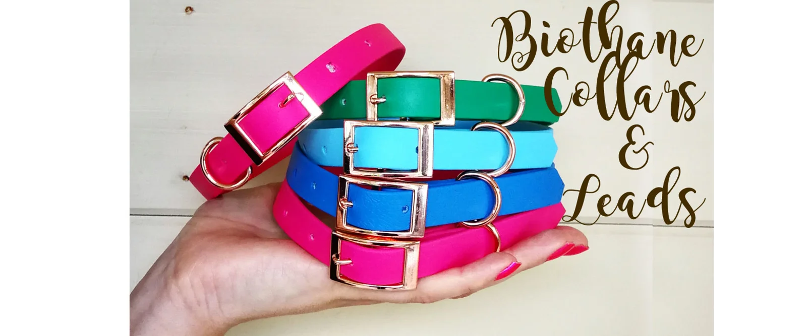 Biothane collars and leads - lightweight, waterproof, smellproof