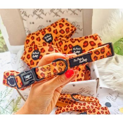 Spiced Honey Leopard Dog Collar