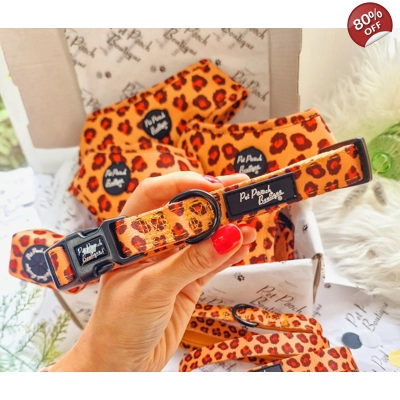 Spiced Honey Leopard Dog Collar