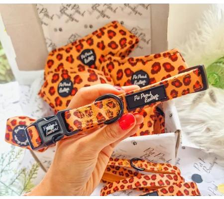 Spiced Honey Leopard Dog Collar