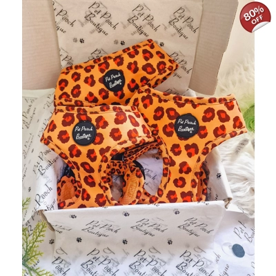 Spiced Honey Leopard Dog Harness