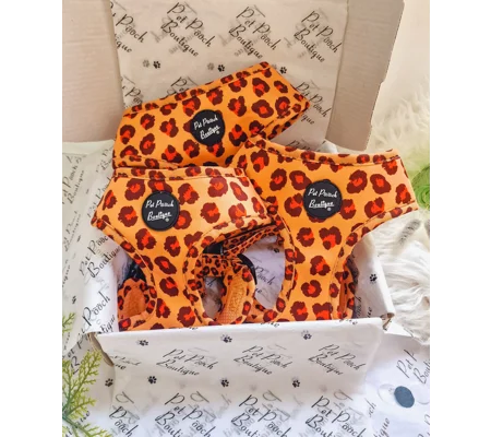 Spiced Honey Leopard Dog Harness