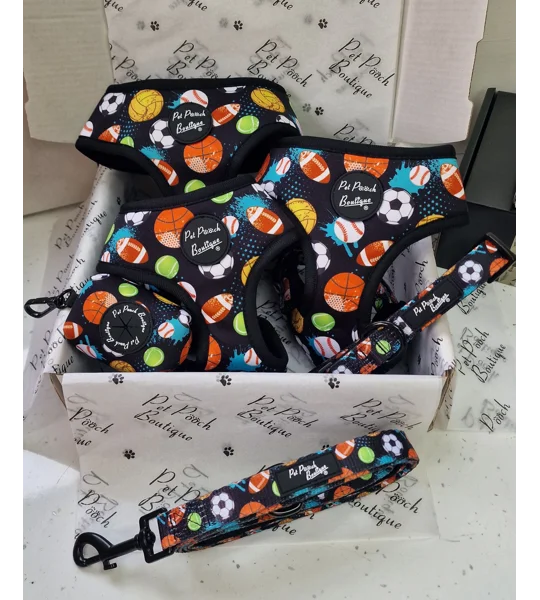 Sports Balls Dog Lead - Reversible