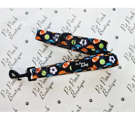 Sports Balls Dog Lead - Reversible