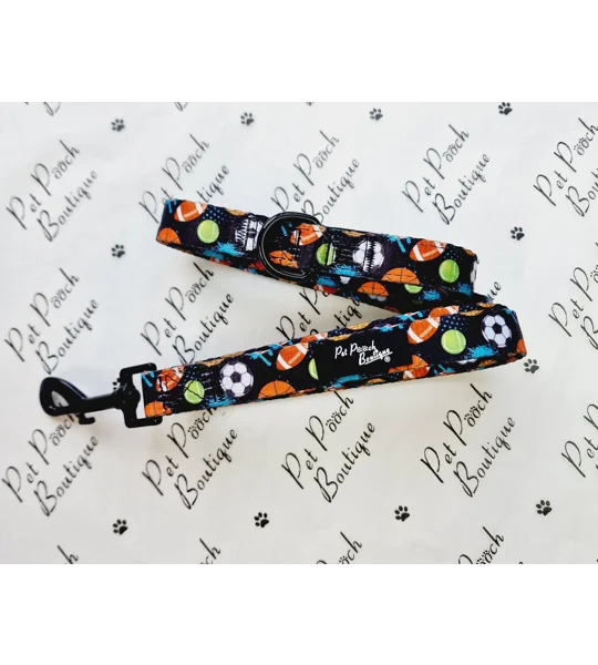 Sports Balls Dog Lead - Reversible