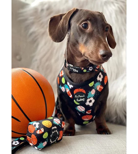 Sports Balls Dog Lead - Reversible