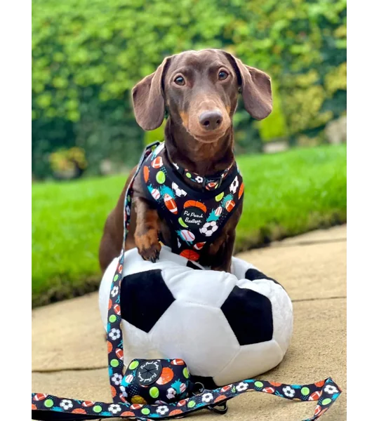 Sports Balls Dog Lead - Reversible