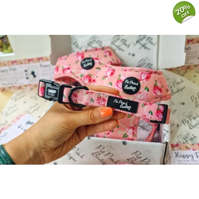 Sunday Rose Floral Dog Collar- Optional Flower Accessory