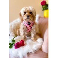 Sunday Rose Floral Dog Harness  - optional flower/bow tie accessory