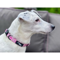 Sunday Rose Floral Dog Collar- Optional Flower Accessory