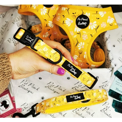 Sunshine Daisy Dog Collar- Optional Flower Accessory Sunshine Daisy Dog Collar- Optional Flower Accessory