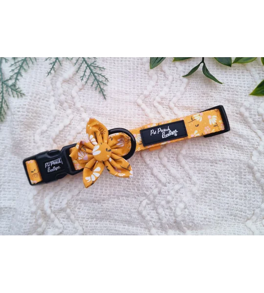 Sunshine Daisy Dog Collar- Optional Flower Accessory