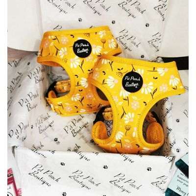 Sunshine Daisy Dog Harness - optional flower accessory Sunshine Daisy Dog Harness - optional flower accessory