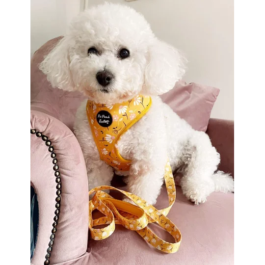 Sunshine Daisy Dog Harness - optional flower accessory