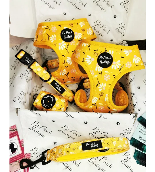 Sunshine Daisy Dog Collar- Optional Flower Accessory