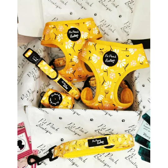 Sunshine Daisy Dog Harness - optional flower accessory
