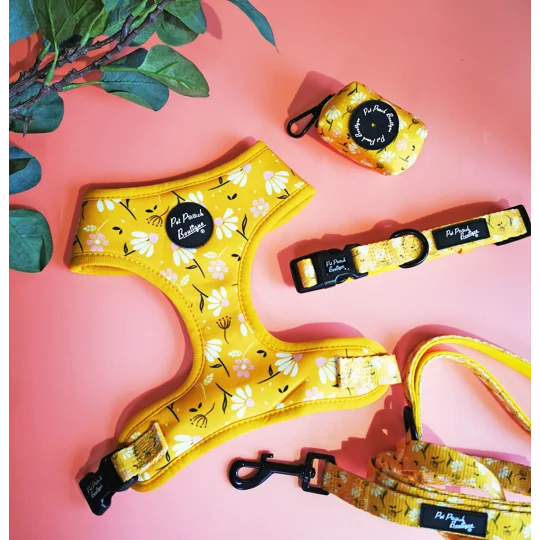 Sunshine Daisy Dog Harness - optional flower accessory