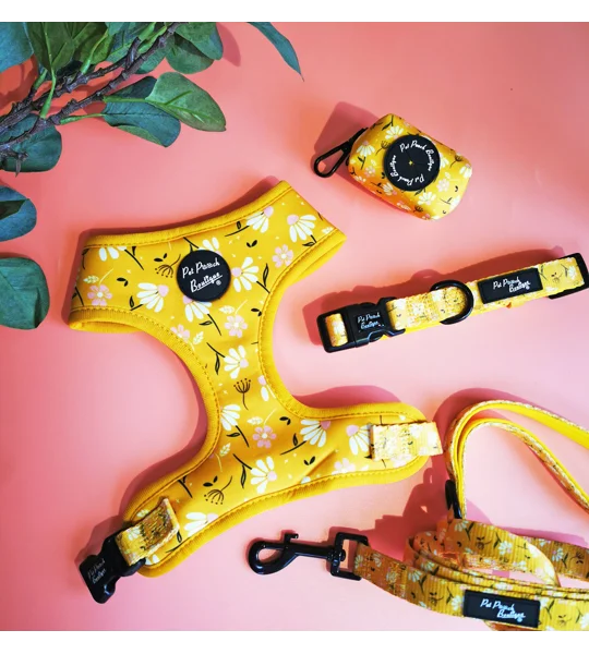 Sunshine Daisy Dog Collar- Optional Flower Accessory