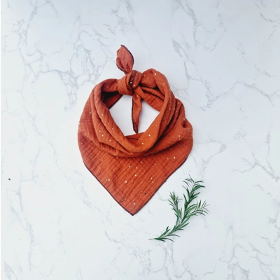 Terracotta & Gold Dog Bandana Terracotta & Gold Dog Bandana