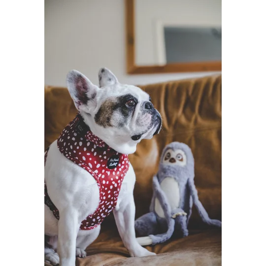 Poppy Toadstool Polkas Dog Collar - OPTIONAL Bow Tie/Flower ACCESSORY